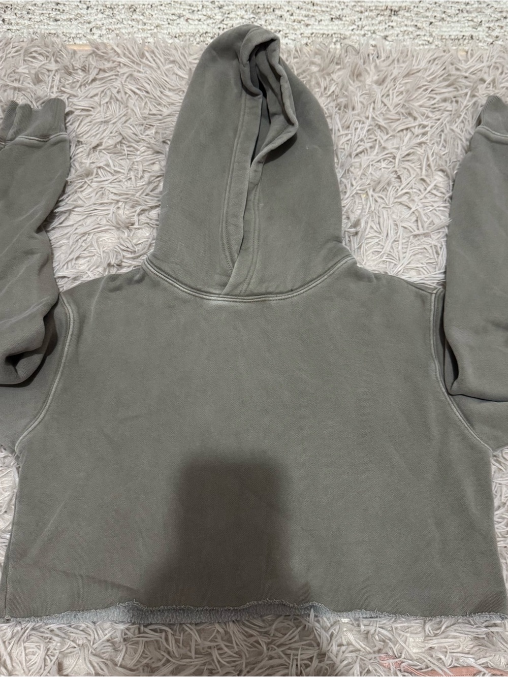 TNA Washed Sage Green Cropped Hoodie